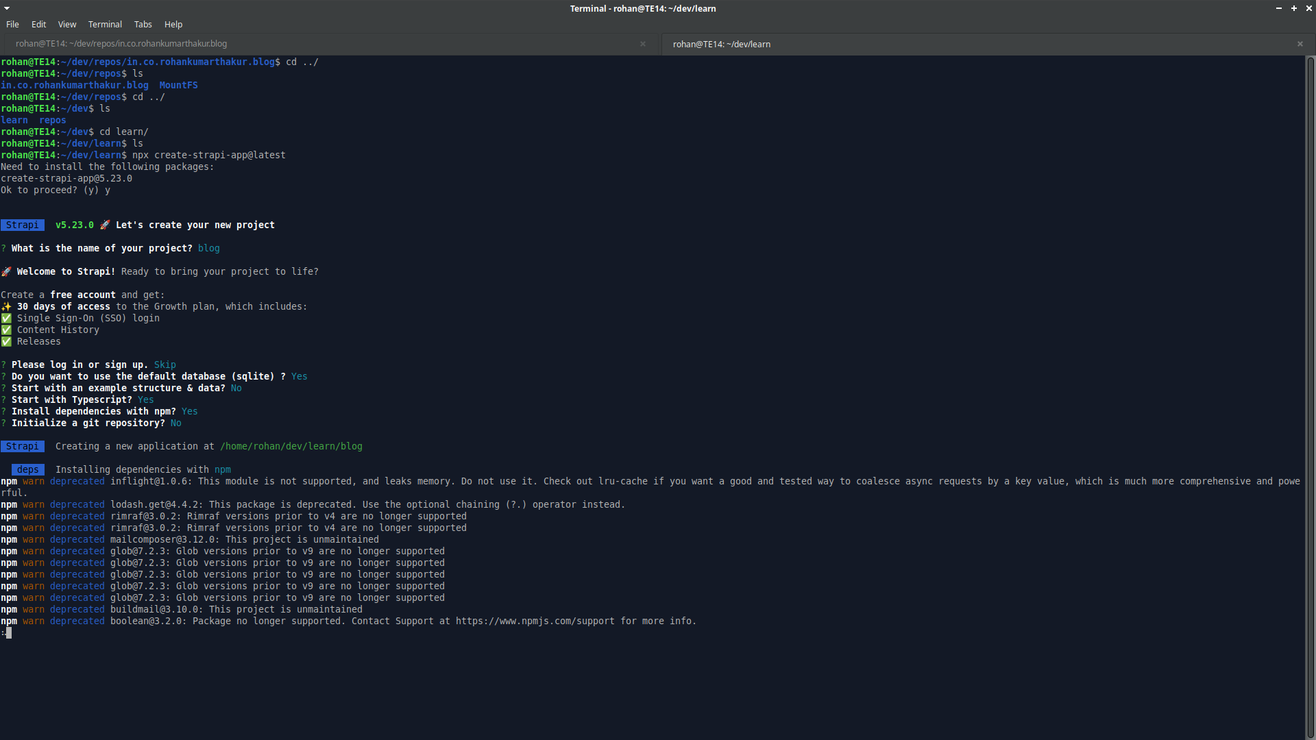 Strapi Installation